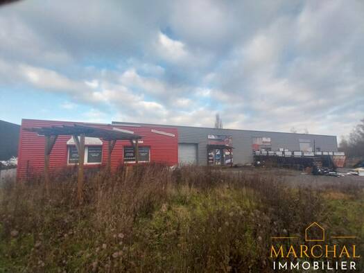 Local d'activités à vendre 350 000 € 700 m² d'espace de stockage Dieuze 57260