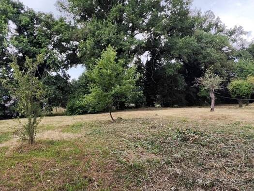 Terrain constructible viabilisé à vendre 139 000 € 1 072 m² de terrain Montrond-les-Bains 42210