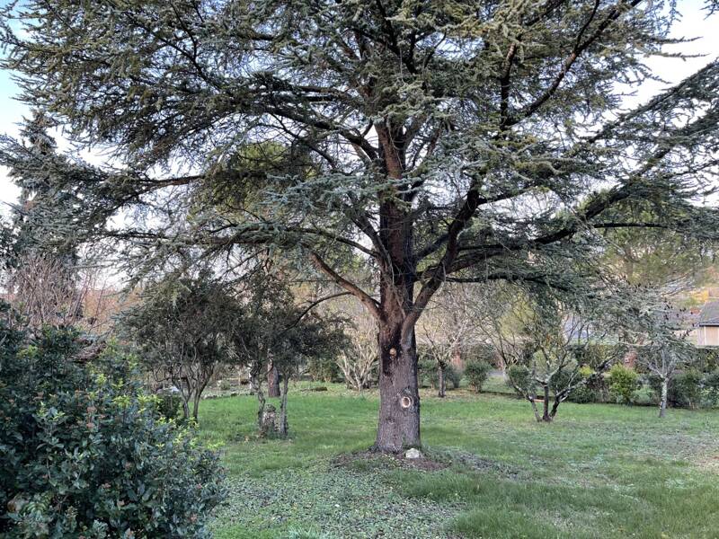 Maison à louer, 172m², VILLEFRANCHE DE LAURAGAIS