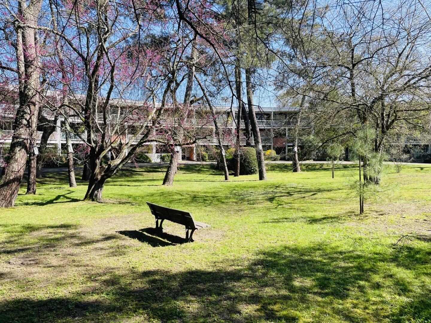 Maison à vendre, 87m², LE BOUSCAT