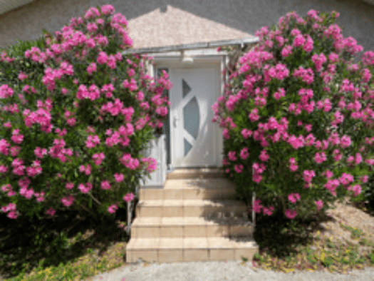 Maison de plain-pied à vendre 390 000 € 4 pièces 3 chambres 103 m² 719 m² de terrain Heyrieux 38540