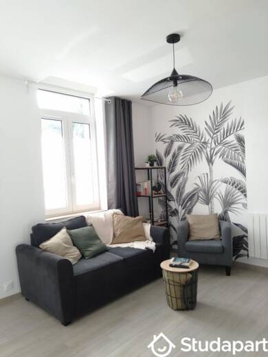 Appartement à louer 400 € 1 pièce 2 chambres 48 m² RDC/2 Centre Anzin 59410