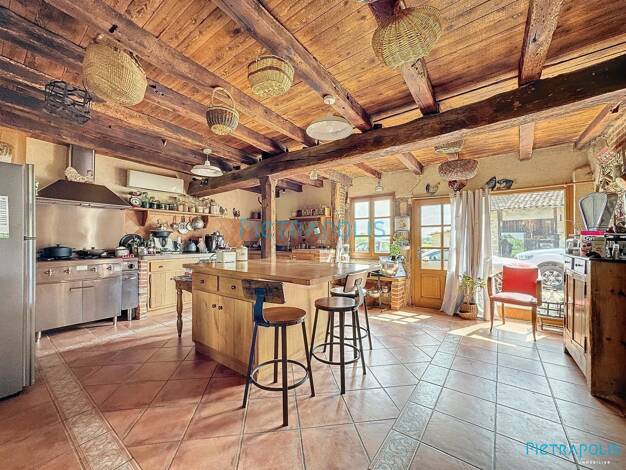 Maison à vendre 420 000 € 7 pièces 3 chambres 350 m² 12 686 m² de terrain Pont-de-Vaux 01190