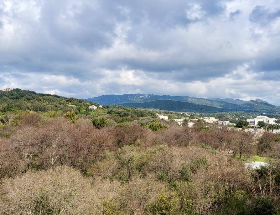 Maison à vendre, 100m², AJACCIO