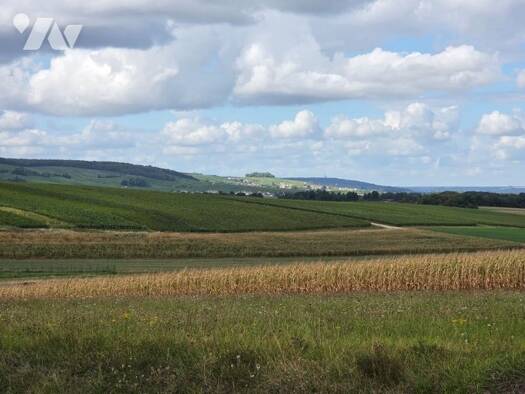 Terrain à vendre 230 000 € 1 452 m² de terrain Sermiers 51500