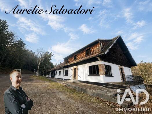 Maison à vendre 283 000 € 11 pièces 10 chambres 450 m² 3 154 m² de terrain Labaroche 68910
