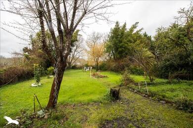 Maison à vendre 181 000 € 3 pièces 2 chambres 96 m² 1 175 m² de terrain Oeyregave 40300