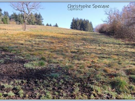 Terrain constructible à vendre 52 000 € 4 945 m² de terrain Chabreloche 63250