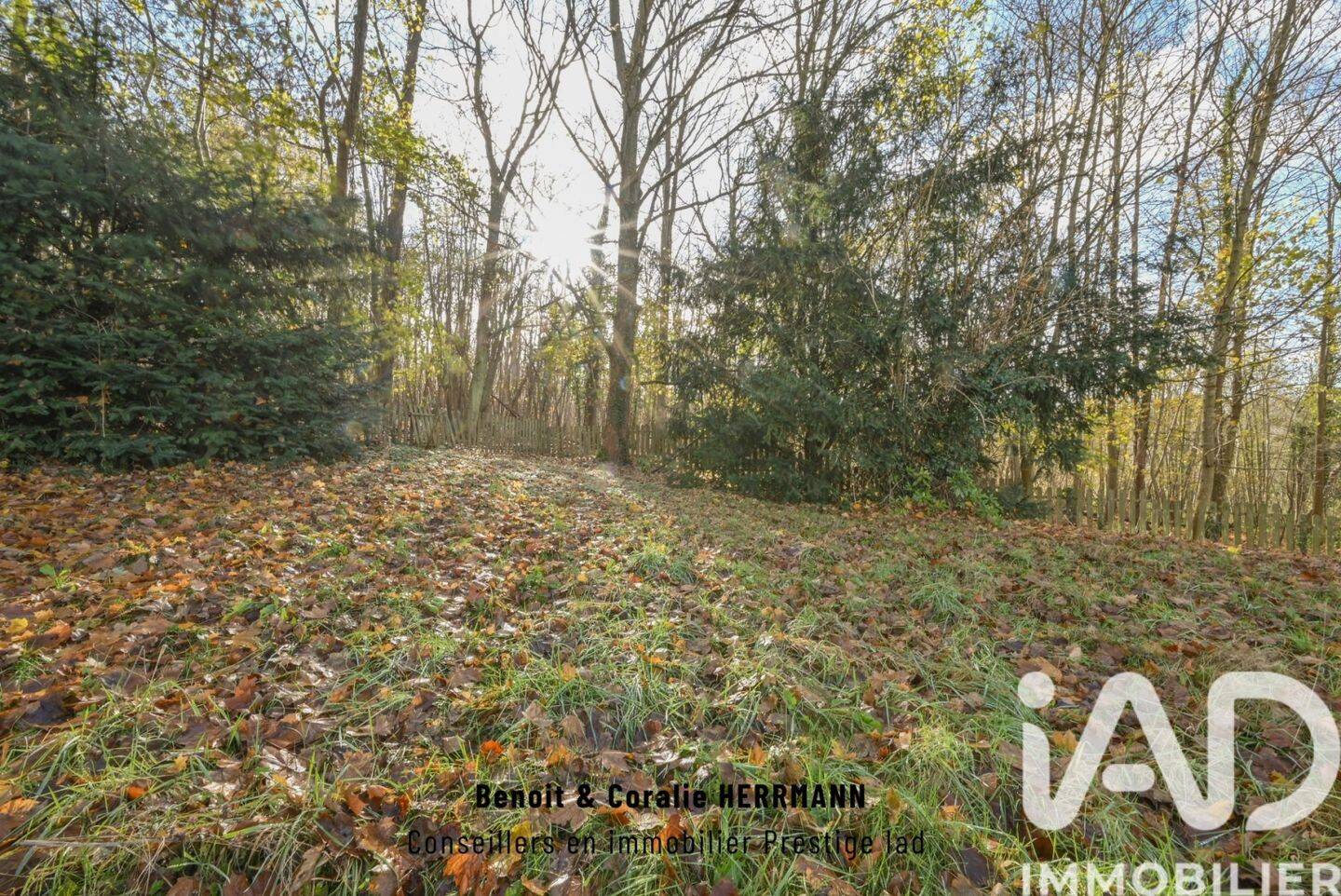 Maison à vendre, 160m², MONTFORT L'AMAURY
