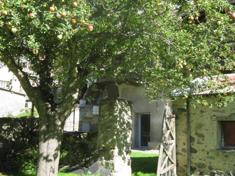 Maison à vendre, 130m², BESSE