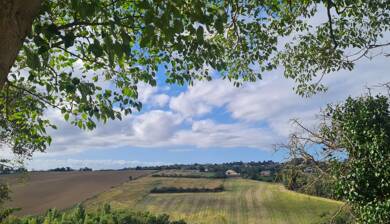 Terrain à vendre 250 000 € 1 000 m² de terrain Rangueil-Sauzelong-Pech David-Pouvourville Toulouse 31400