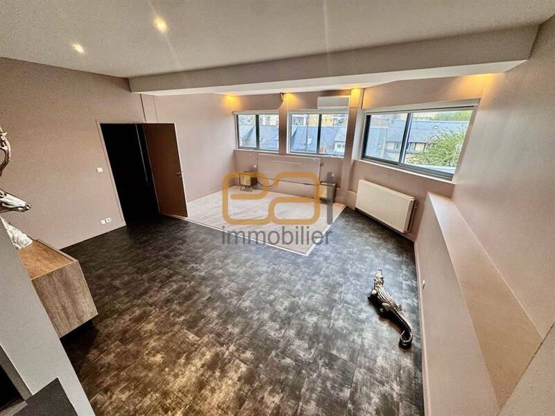 Maison à vendre, 360m², LE MANS