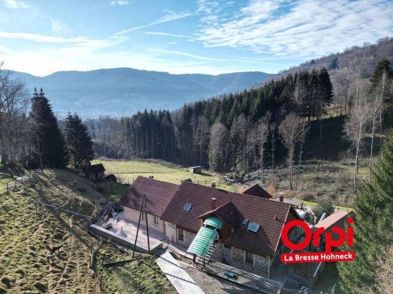 Maison à vendre, 750m², SAULXURES SUR MOSELOTTE