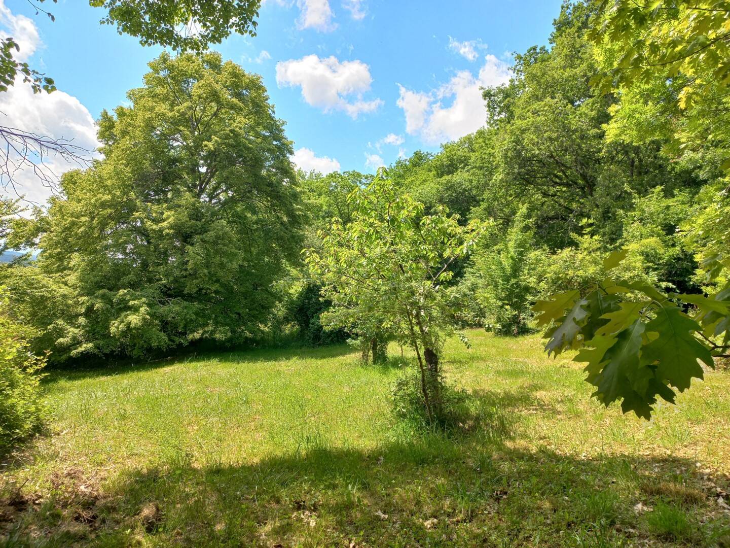 Maison à vendre, 272m², TRIE SUR BAISE