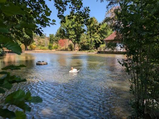 Demeure à vendre 495 000 € 11 pièces 6 chambres 345 m² 14 178 m² de terrain La Clayette 71800