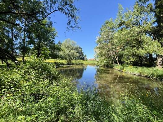 Maison à vendre 299 000 € 7 pièces 5 chambres 160 m² 15 594 m² de terrain Palinges 71430