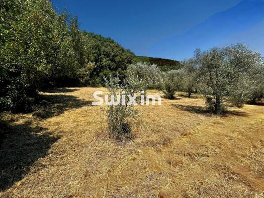 Terrain constructible à vendre 130 000 € 930 m² de terrain Nyons 26110