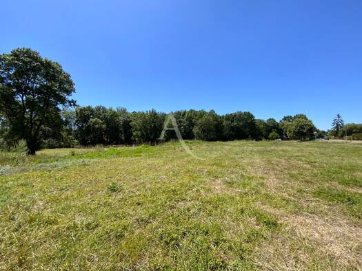 Terrain à vendre 20 000 € 1 138 m² de terrain Saint-Ciers-du-Taillon 17240