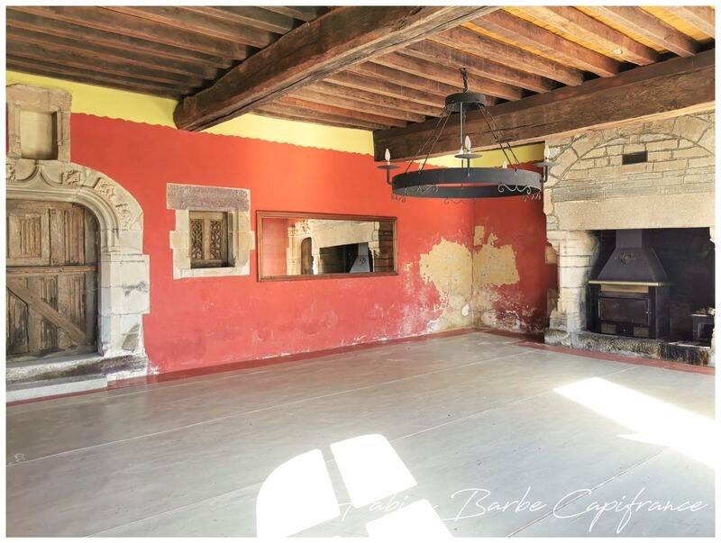 Maison à vendre, 260m², NEANT SUR YVEL