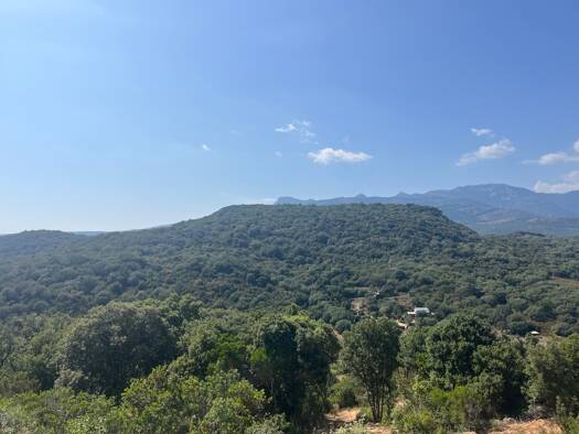 Terrain à vendre 300 000 € 14 545 m² de terrain Figari 20114