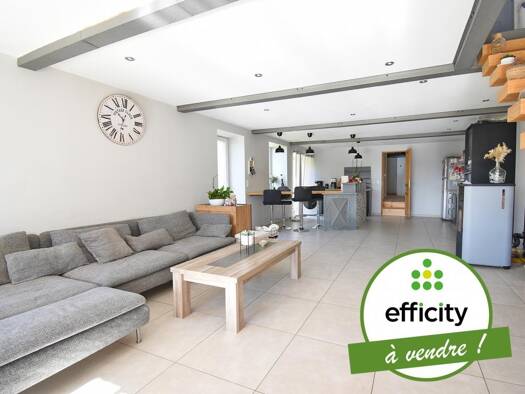 Maison à vendre 339 000 € 6 pièces 3 chambres 180 m² 1 884 m² de terrain Chazelles-sur-Lyon 42140