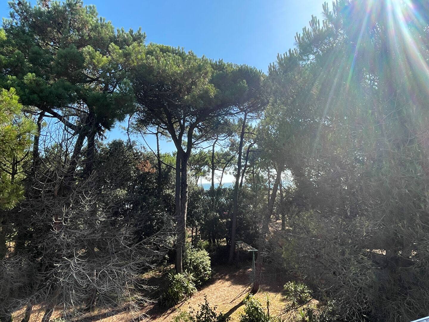 Maison à vendre, 155m², SAINT GEORGES D'OLERON