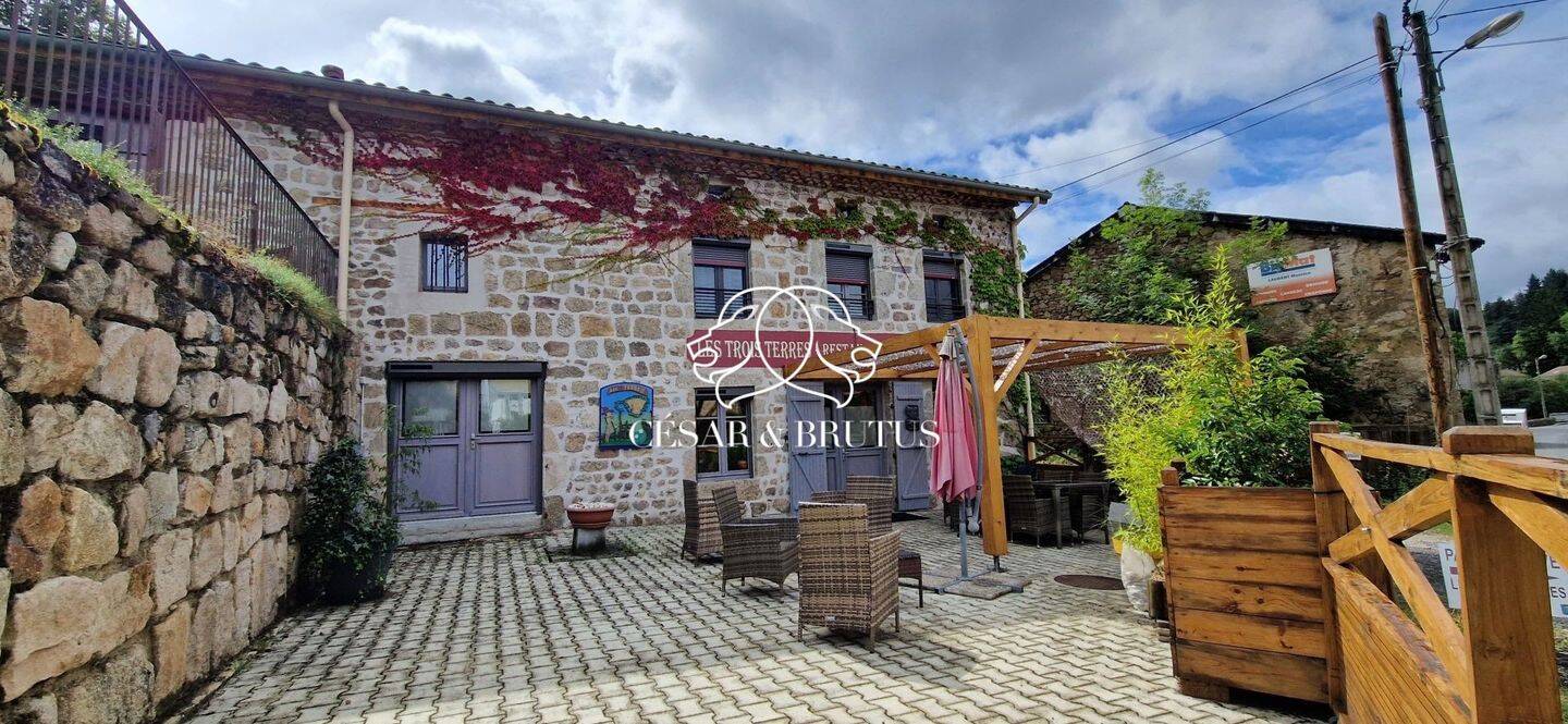 Maison à vendre, 292m², USSON EN FOREZ