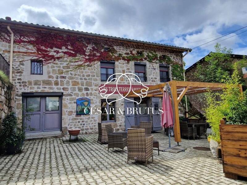 Maison à vendre, 292m², USSON EN FOREZ
