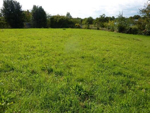 Terrain constructible à vendre 14 000 € Notre-Dame Mayenne 53100