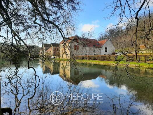 Maison à vendre 1 200 000 € 21 pièces 18 chambres 480 m² 134 643 m² de terrain Venarey-les-Laumes 21150