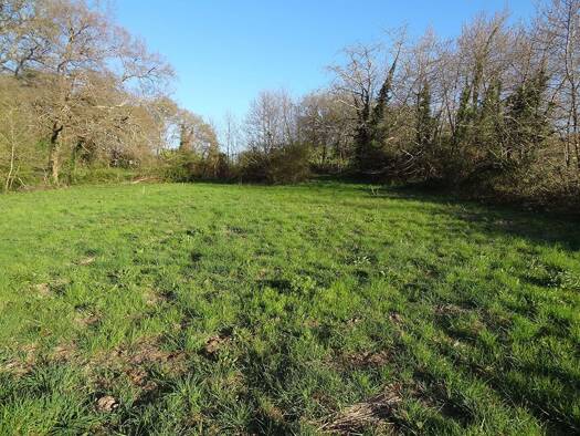 Terrain constructible viabilisé à vendre 27 000 € 1 793 m² de terrain Mussidan 24400