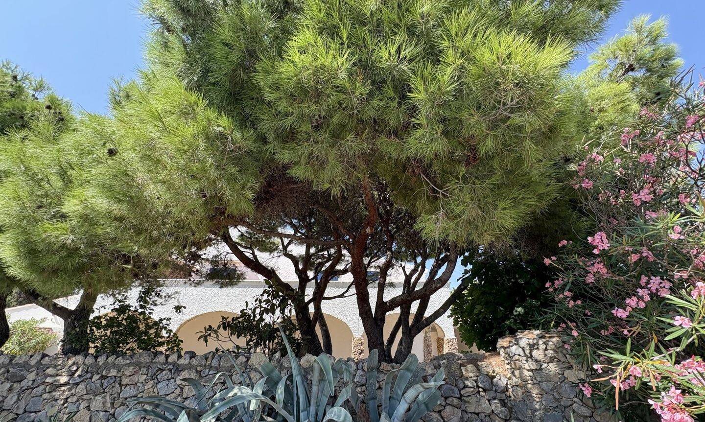 Maison à vendre, 300m², LA PALME