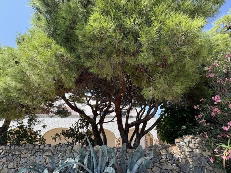 Maison à vendre, 300m², LA PALME