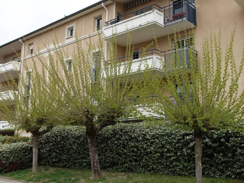 Maison à louer, 46m², RAMONVILLE SAINT AGNE