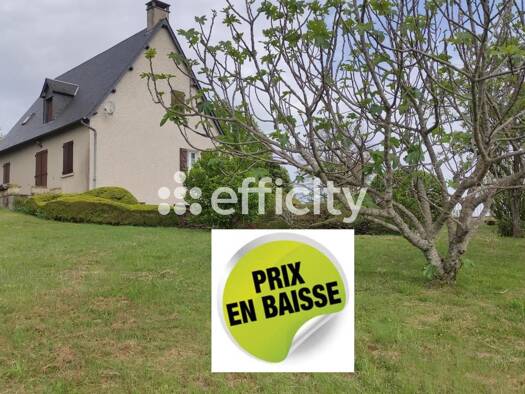 Maison à vendre 169 500 € 5 pièces 3 chambres 112 m² 1 320 m² de terrain Saint-Bonnet-l'Enfantier 19410