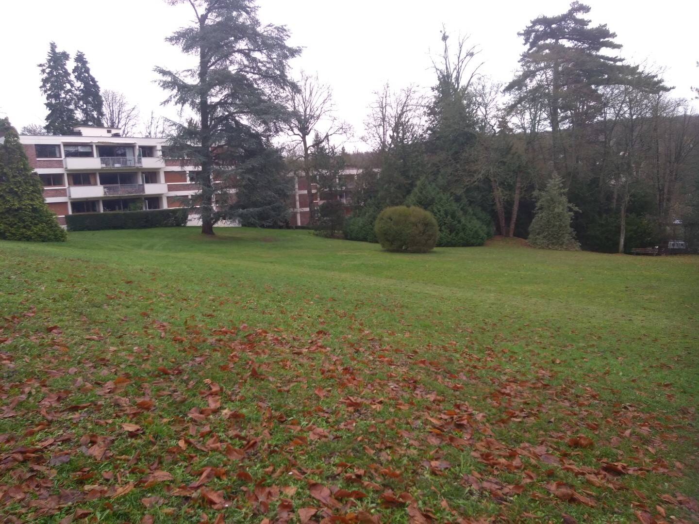 Maison à louer, 39m², L'ETANG LA VILLE