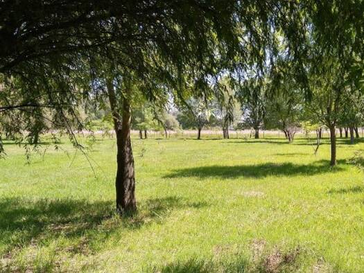 Terrain constructible à vendre 199 000 € 500 m² de terrain Saint-Aubin-de-Médoc 33160