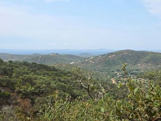 Terrain à vendre 75 000 € 37 235 m² de terrain Bormes-les-Mimosas 83230