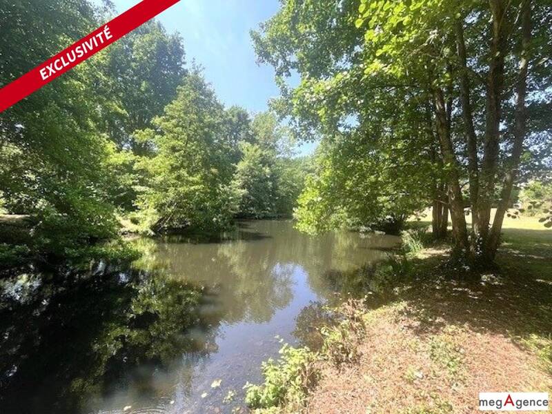 Maison à vendre, 280m², ECOUFLANT