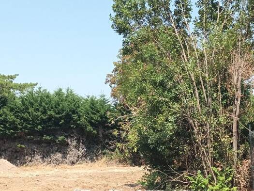 Terrain constructible viabilisé à vendre 350 000 € 1 162 m² de terrain Sud Nieul-sur-Mer 17137