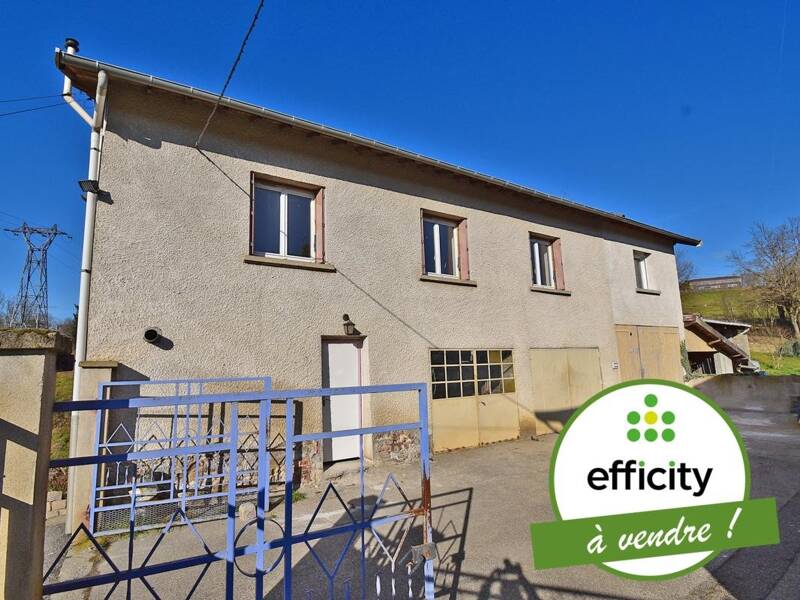 Maison à vendre, 132m², CHAZELLES SUR LYON