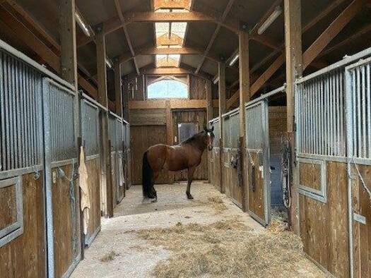 Local d'activités à vendre 878 000 € 9 000 m² d'espace de stockage Orbey 68370