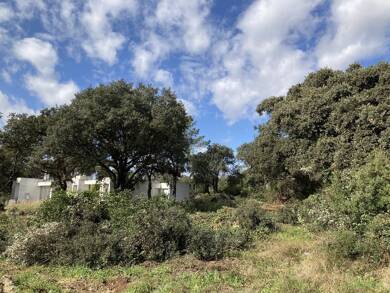 Terrain constructible à vendre 233 000 € 203 m² de terrain Centre Ville Baillargues 34670