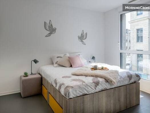 Appartement à louer - logement étudiant 650 € 1 pièce 19 m² disponible dès maintenant Abry Grenoble 38000