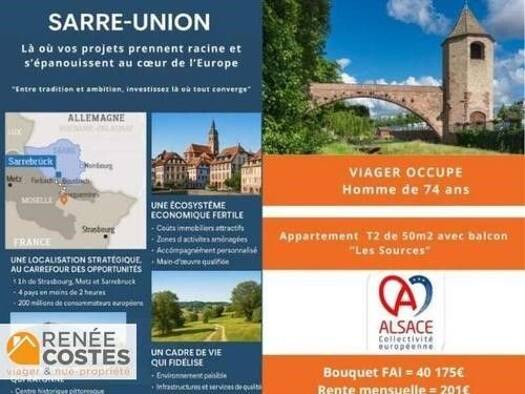 Appartement en viager occupé Bouquet 41 175 € 2 pièces 1 chambre 50 m² Étage 3/3 Sarre-Union 67260