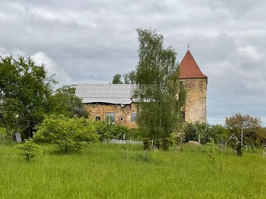 Château à vendre 195 000 € 2 pièces 1 chambre 450 m² 10 226 m² de terrain Mailleroncourt-Charette 70240