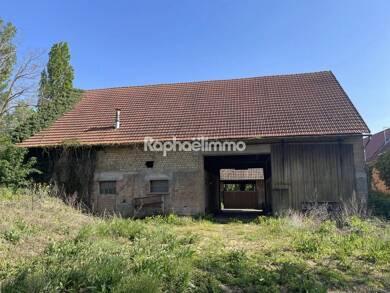Ferme à vendre 559 000 € 2 pièces 215 m² 3 180 m² de terrain Truchtersheim 67370