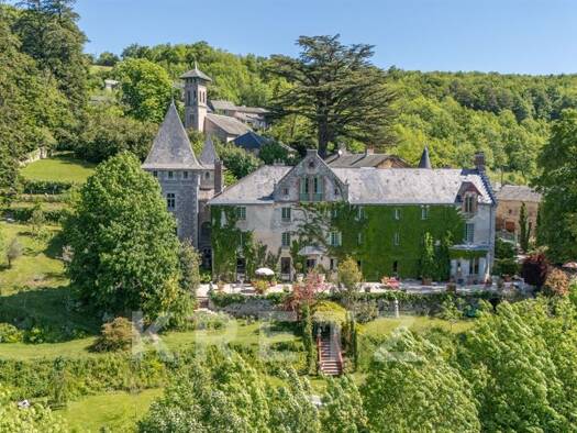 Château à vendre 1 350 000 € 20 pièces 9 chambres 824 m² 37 000 m² de terrain Lacaze 81330