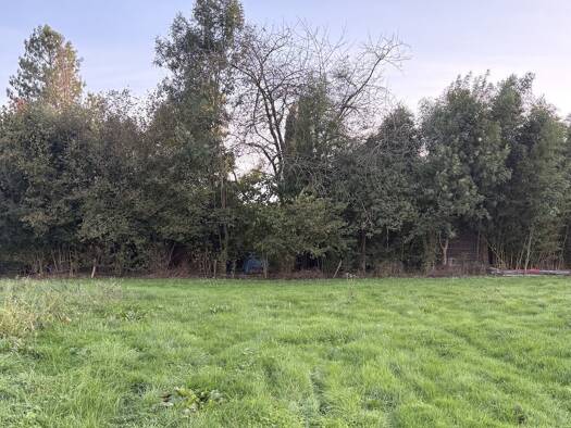 Terrain constructible à vendre 49 900 € 1 188 m² de terrain Le Pape Paray-le-Monial 71600