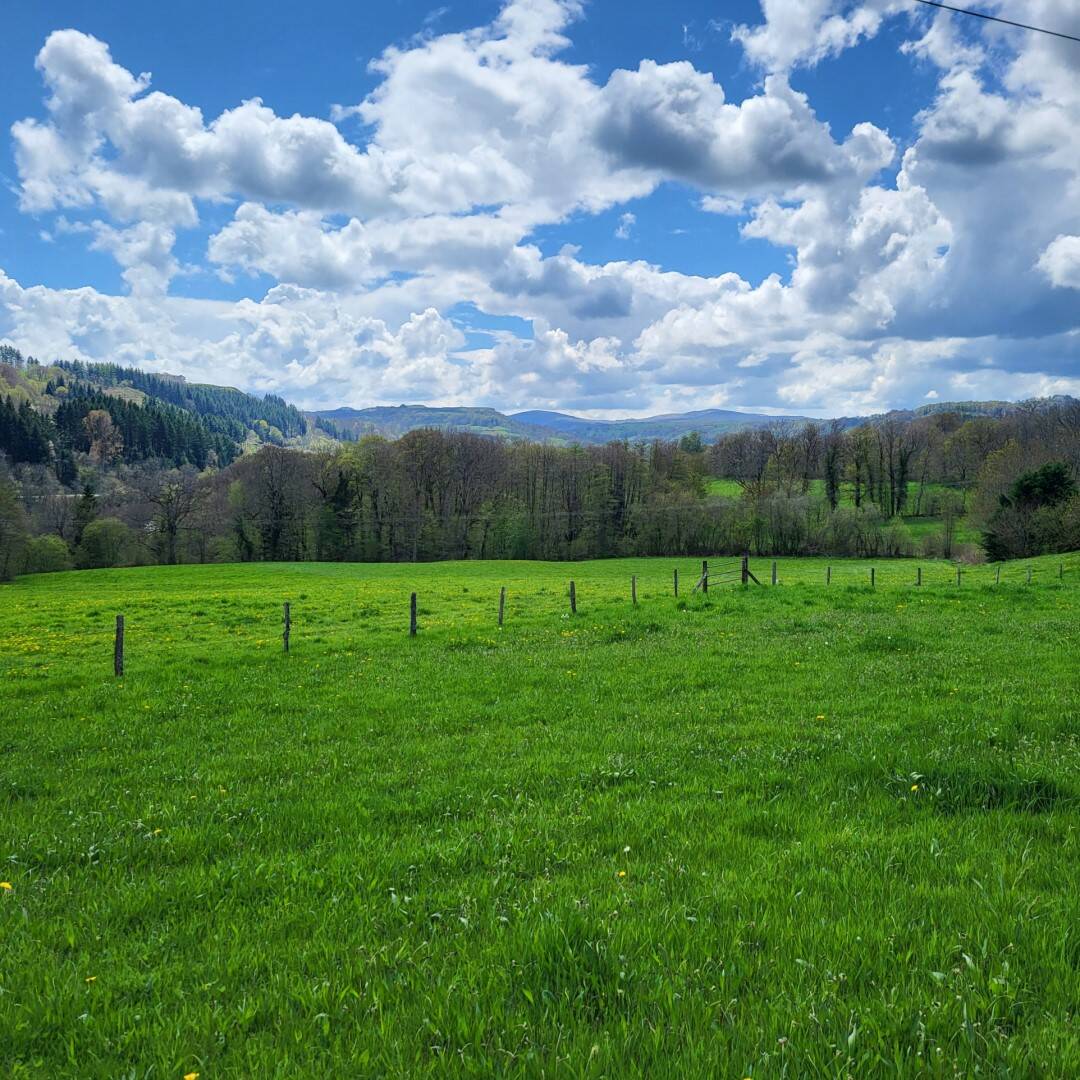 Maison à vendre, 263m², RIOM ES MONTAGNES